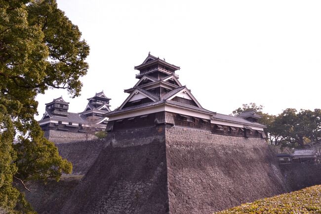 　２０１４年１月１３日（成人の日）新春の熊本城を散策しました。<br /><br />　熊本城は、大坂城、名古屋城と並んで日本三名城の１つでもあり、城郭は東京ドーム21個分の広さで、大小の天守閣、櫓４９、櫓門１８、城門２９を備えるという、全国でも有数規模のお城です。城は加藤清正が１６０１年に築城着手し１６０７年に完成しました。<br />　今回は、熊本城の中で最も歴史的価値のある宇土櫓を中心に本丸御殿・細川刑部邸を散策しました。特に宇土櫓は、私のお気に入りの一つで西南戦争での戦火をくぐり抜け、加藤清正が熊本城を築城した当時から 現在まで残っている唯一の多層櫓です。 <br />