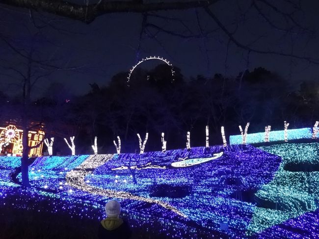 神奈川県相模原市に有るさがみ湖イルミリオンは、なだらかな斜面に<br />LEDの光りで幻想的なイルミネーションが美しい光の世界を創り出しています。<br />LDEの光が散りばめられた「光の海」・「光りの花絨毯」・「光の動物園」・「ブリリアントパレス」・<br />「光の花畑」・「光の並木道」・「アクアガーデン」「光のゲ-ト」・<br />「プロジェクションマッピングUFO」その他「観覧車」や<br />「光のリフト」に乗ったりも出来てイルミネーションを楽しめます。<br /><br />生憎当日は観覧車もリフトも混雑していて乗車は残念ながら<br />できませんでした。<br /><br />平成２５年１１月９日（土）〜平成２６年４月１３日（日）「予定」１月７日（火）まで毎日営業、以降は金・土・日・祝日と春休み期間（３月２４日〜４月３日）<br />