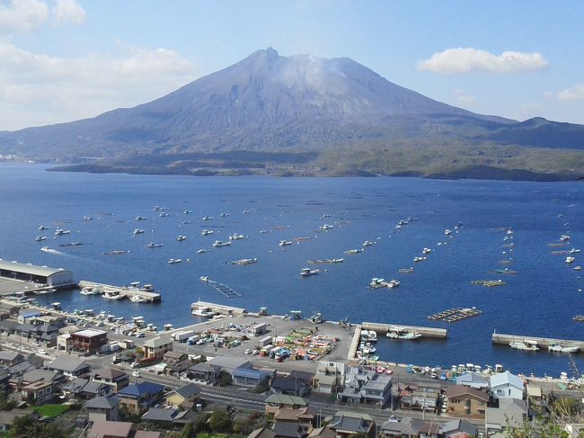 桜島について皆さんご存知でしょうか。桜島は錦江湾(鹿児島湾)にある東西約12km,南北約10km,周囲約55km,高さは北岳(御岳)1117m,人口は約5000人の活火山です。<br />桜島は2014年１月12日で大正3年に発生した桜島大正噴火からちょうど100年になります。それまでは桜島は離れ島でしたが大爆発によって桜島と大隅半島の間にあった瀬戸海峡(幅400m,深さ80m)が埋め尽くされ陸続きになりました。このときの噴煙は8000m以上上昇し,流出した噴出量は30億トンにも及ぶそうです。大正3年の大噴火では南岳の中腹から流れた溶岩は黒神,有村方面に流れて黒神地区は全域埋没しました。昨年は爆発的噴火は835回と観測を始めた1955年以降4番目に多かったそうです。噴火は1097回ですがここで勘違いされることは爆発と噴火は違うのです。　　　爆発とは……地下の高温源での内圧が増大して起こり音響とともにガス,水蒸気,岩石等を放出する現象で　　　噴火とは……火口外へ固形物(火山灰,石塊等)を放出または溶岩を流出する現象。<br />これによって回数が違います。　今年になって17回の爆発的噴火を観測されています。夜桜島が爆発すると真っ赤になった溶岩が<br />下の方まで流れていくのがよく見えていましたが最近は夜の爆発が有りませんが真っ暗闇の中で赤々とそれは本当に綺麗ですよ！<br />桜島の由来は諸説であり実際にはわかっていません。「コノハナサクマヒメ」という神様が祀ってあるためサクヤ島と呼ばれいたものが〈サクラ島〉に変化したと言う説,桜島忠信が詠んだ歌が世に広まり有名になったことから彼の名にちなんで〈桜島〉と呼ぶ説があります。どこの山でも何かの由来があってつけられたのかなと思います。<br />桜島は周囲約55kmあり一周するには車で一時間位で回ることができます。北側の方は特に観光をするところは特になくただひたすら30分くらい走るだけですので南側の観光スポットをゆっくりと見たほうが良いかと思います。桜島については以上で終わります。<br /><br />ここから桜島の観光スポットを順次紹介したいと思います。<br /><br />　　　　　　黒神地区の鳥居の埋没,<br />　　　　　　　　　↓<br />　　　　　　有村展望所,<br />　　　　　　　　　↓<br />　　　　　　林芙美子文学碑,<br />　　　　　　　　　↓<br />　　　　　　湯之平展望所,<br />　　　　　　　　　↓<br />　　　　　　長渕剛がコンサートをした広場,<br />　　　　　　　　　↓<br />　　　　　　桜島ビジターセンターを見てください。