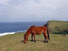 南の国から '14『望郷』◇「母さん，最果ての島へ来たわけで…」