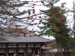 アイラブ仏像めぐり　2014年奈良初詣は、定番の東大寺から般若寺へ、そして薬園寺、唐招提寺（３）