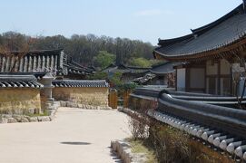 2013春、韓国旅行記26(10/19)：4月9日(8)：慶州、校洞村、崔氏古宅、重要民俗資料碑、染井吉野、花蘇芳