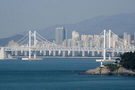 2013春、韓国旅行記26(15/19)：4月9日(13)：鎮海から釜山へ、海が見える丘の染井吉野、海雲台ビーチ