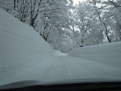 青森出張　豪雪の酸ヶ湯温泉入浴