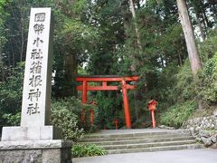 箱根温泉1泊★寺社巡り＠箱根神社★ロープウェイで駒ヶ岳