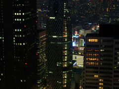 東京都庁　夕景　夜景