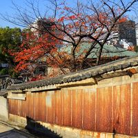 カメラをポケットに生国魂神社の丘に登って見ました