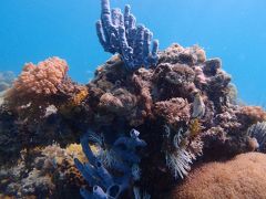 初めてのアフリカ～ケニア・タンザニア旅行～（タンザニア編）