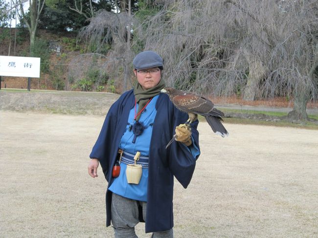 京都冬の旅・放鷹術ウォツチング ～♪(´ε｀ )  in 二条城