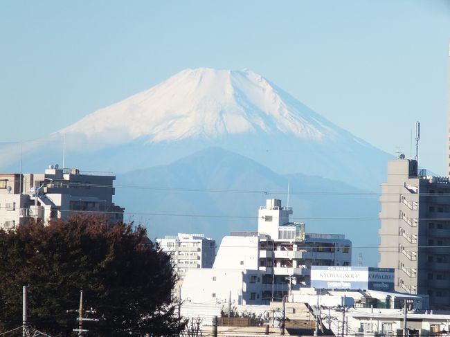 自宅のベランダから見えた景色<br /><br />東京でも世界遺産を間近に見ることができるなんて<br />いいですよね