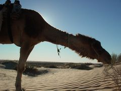 Tunisian Doorに魅せられて～卒業旅行～ ②サハラ砂漠→Tamerza→Sousse