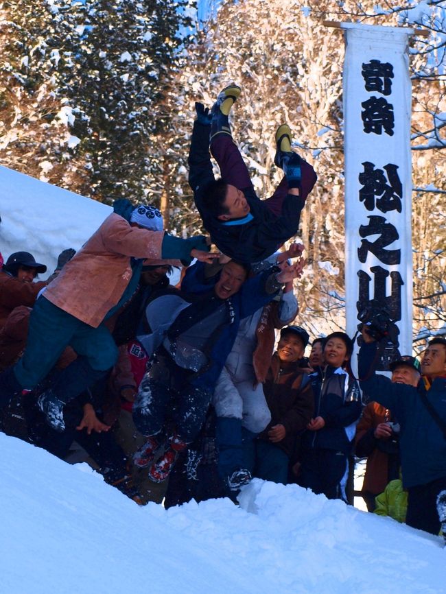 　新潟県の山間部、十日町市松之山温泉で年一回行われる奇祭「むこ投げ」( http://www.city.tokamachi.lg.jp/kanko/50310300016.html )と十日町駅( http://www.city.tokamachi.lg.jp/kanko/index.html )近くで毎年１月に４回開催される節季市(チンコロ)( http://www.city.tokamachi.niigata.jp/page/10170200037.html )と美人林(http://www.city.tokamachi.lg.jp/kanko/bijinbayashi.html )と松之山温泉を訪ねてきました。<br />　雪国としては例年より少なめの雪とは言え、家を出る時の車外温度計は氷点下４℃でした。国道から関越道に入ったのですが制限速度が50Ｋm、ノロノロ運転で越後川口ＩＣを降り、国道１１７号線で十日町市に・・・・節季市臨時駐車場(車外温度計−１１℃)にとめ節季市会場に向かいました。<br />　手袋をしていても手足がビリビリするくらい寒かった。市の準備は始まったばかりでした。私の目的の「チンコロ」のお店も準備中でしたので開店まで待たせてもらいました。(３０分)<br /><br />　目的のチンコロ６個購入後、松之山地区に向かいました。雪国では珍しい晴天に恵まれたので景勝地の「美人林」に立ち寄りました。ロングブーツを履いていたので何とか雪をかき分けたどり着きました。真っ白な雪化粧した美人林は最高です。<br />　美人林からほど近い温泉街の神社で「むこ投げ」が行われるので、温泉駐車場にとめお蕎麦屋さんでお昼をいただきました。食後お蕎麦屋( http://www.tokamachishikankou.jp/modules/gnavi/index.php?lid=374 )さんの前の宿で温泉( http://www.iiyuyado.com/ )を楽しんだのち会場に向かいました。すでに大勢のカメラマンそしてテレビ局の人達でごった返していました。<br />　予定の時間になると今年結婚した３組のお婿さんが友人たちに担がれてやってきました。神社でお祓いをしたのち、神社前のがけ下に向けて・・・むこ投げが行われました。崖下にはお嫁さんたちが婿さんを・・・・。むこ投げ後隣接した会場でどんと焼きが行われ、焼かれた藁の墨でお互いに顔などに墨塗りをして行事は終わります。