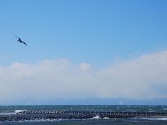 ★銀河鉄道と旅をしよう①　新潟篇 １日目★