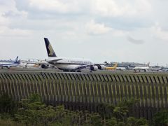 さくらの山公園からの飛行機鑑賞