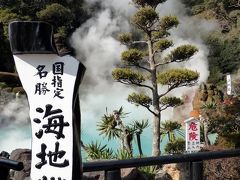 ０８．年末年始の九州旅行　別府地獄めぐりその１　海地獄　地獄噴気利用温室　熱々の足湯