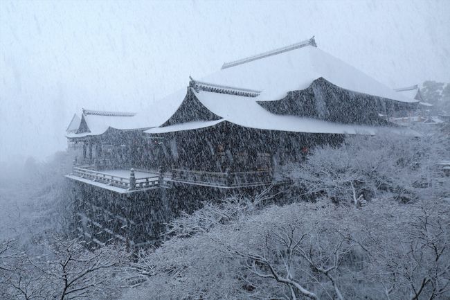 京都の街に雪が積もった!<br />年に数回しかないこの好機を逃さずに行ってきました。<br /><br />訪れたのは東山エリアです。<br />清水寺→産寧坂→八坂の塔→安井金毘羅宮→八坂神社→円山公園→知恩院→祇園白川と歩いてきました。<br /><br />