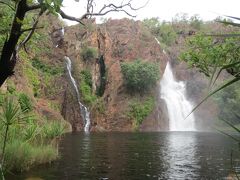 オーストラリア北部の野生動物をたずねて（４）　Lake Bennett