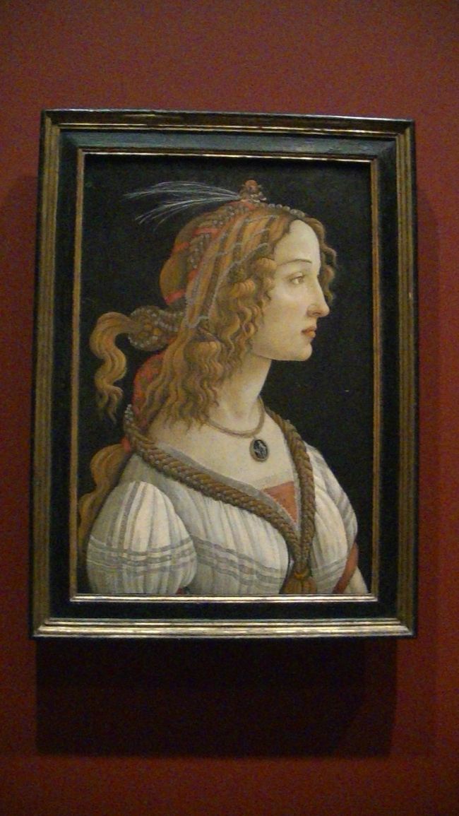 表紙の写真・ボッチィチェリの若い女性の肖像。<br /><br />ベルリンの絵画館でもボッチィチェリを鑑賞いたしました。<br />ベルリン編をご覧頂けましたら幸いです<br />フェルメールの地理学者も写して参りました。<br />時間不足のため、少し手抜きの説明ですが、おゆるしください。<br /><br /><br />2012・5・2.<br />約2週間のドイツの旅も終わり、本日帰国です。最後の最後に、<br />やはりシュテーデル美術館に寄る事にしました。<br /><br />愛知・豊田でフェルメールの地理学者を見たからと、止めるつもりで<br />散策していましたが、時間もあるので行きました。行って良かったです、後で後悔する所でした。<br /><br />シュテーデルは2700点の絵画のコレクションを所蔵していまして、<br />そのうち700点が展示されています展示場の広さは4000平方m。<br />どうぞ、ごゆっくり鑑賞して楽しまれるを、お勧めいたします。<br /><br />フェルメール・ファンの方にはドイツは良いですよ。*印にて鑑賞できます<br /><br /><br />ミュンヘン。アルテ・ピナコテーク<br />*ウィーン。美術史博物館・19・29世紀絵画館「絵画芸術」<br />*ドレスデン。アルテ・マイスター「窓辺で手紙を読む少女」「取り持ち女<br />*ベルリン・絵画館。「真珠の首飾りの女」「紳士とワインを飲む女」<br />*フランクフルト・シュテーデル美術館・「地理学者」<br /><br />今回の旅で訪問しました<br />美術館ですが、写真は撮ってもいいですか?と聞くべきでした。<br />ミュンヘンが悔やまれます。<br /><br />条件・別のお支払いをすれば、OKのようですが、今後は分かりませんので、お尋ね下さいね。<br /><br />撮れなかった所もありますが、美術本で楽しんでおります。<br />日本では、この中の数点を見る為に、高い入場券を払いますが、<br />ドイツでは、1000円もしなかった記憶です。<br /><br />ドイツは芸術の町ですね。各地のホール・オペラ座・美術館が<br />充実していて、また訪れたい街になりました。<br /><br />最後になりましたが、個人の気になった絵画のみの写真です。<br /><br />額も絵画の一部と思っておりまして、小さい絵画は良いのですが、<br />大きな絵画は額の一部を入れたり、上下を切ったりと変な撮り方<br />をしていますので、見難いと思いますが・・・。<br /><br />限られた時間に写真を撮っていますので、見にくい所もあります。<br />そして、このように公開して良いのかも判りません。<br />途中で消去の可能性もございます事、お許しくださいませ。