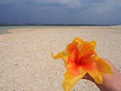 ２泊３日週末旅行～那覇・石垣島・竹富島～２