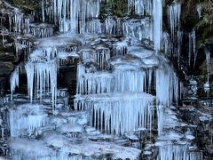 宝登山ろうばい園の早春の香りと自然が創り出した冬の造形、奥秩父の三十槌の氷柱