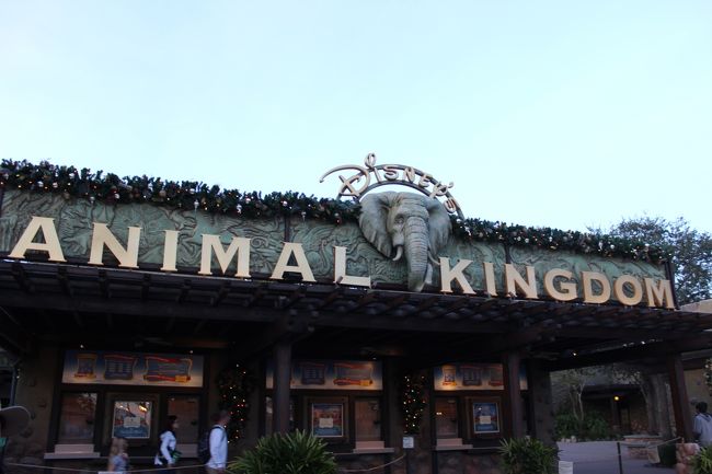 年末年始はwdwで ユニバーサル アニマルキングダム編 オーランド アメリカ の旅行記 ブログ By Ruiさん フォートラベル 年末年始はwdwで ユニバーサル アニマルキングダム編 オーランド アメリカ の旅行記 ブログ By Ruiさん フォートラベル
