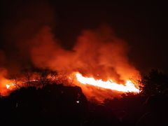 若草山山焼き