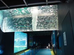 箱根園水族館