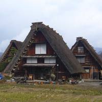 年に一度パート仲間と。今年は高山と白川郷