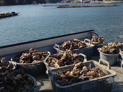 お伊勢さん参り。その前に焼き牡蠣を堪能・鳥羽水族館も久しぶりに立ち寄りました。