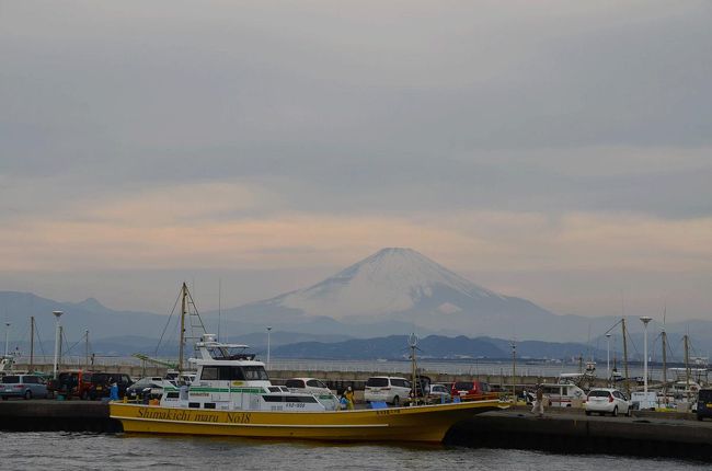 江の島へ来ました。<br />イルミの点灯まで時間がありますので、島内をウロウロして時間潰し…。(笑)<br /><br />★藤沢市役所のHPです。<br />http://www.city.fujisawa.kanagawa.jp/<br /><br />★藤沢市観光課・公益社団法人藤沢市観光協会のHPです。<br />http://www.fujisawa-kanko.jp/<br /><br />★江ノ電のHPです。<br />http://www.enoden.co.jp/<br /><br />★サムエル・コッキング苑のHPです。<br />http://enoshima-seacandle.jp/