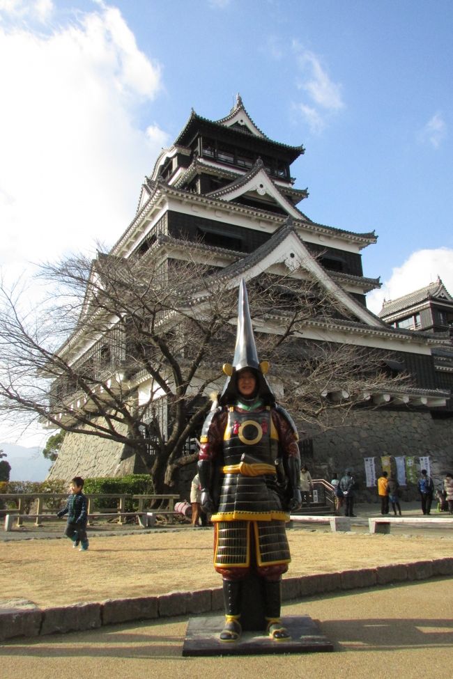 2013年締めくくり新たな2014年を迎える九州5泊６日の旅<br /><br />昨年はバリで年末年始を迎えましたが、母が直前体力に自信がないと<br />ドタキャンしたので、国内になりました。<br />九州は食べ物もおいしく、温泉良し、あったかい所もあるし<br />水もきれいでちょっとはまりそうです！<br /><br />ＡＮＡ旅作<br /><br />皆の休みを待って出発　温泉三昧で疲れを癒す予定でしたのに・・。<br /><br />１２月２７日金曜日　　　　　ANA641便　羽田8:30→熊本10:25　<br />　　　　　　　　　　熊本城　　◎　ﾎﾃﾙグリンピア南阿蘇泊<br />　　　２８日土曜日　高千穂　　△　ﾎﾃﾙ高千穂<br />　　　２９日日曜日　石垣の町　×　ANAホリディ・インリゾート宮崎<br />　　　３０日月曜日　青島神社<br />　　　３１日火曜日　鵜戸神社<br />２０１４年　元旦　　護国・宮崎神社　　　　<br />　　　　　　　　　　　　　　　SNA064便　宮崎19:45→羽田21:15<br /><br />2013年は気がついてみれば1/12月 <br />１か月以上旅に出ていたようで<br />旅の思い出沢山の年になりました。<br />逆を返せばストレス満載の年だったのかもしれません<br />仕事も辞めようとしましたたが、<br />結局まだおりまして<br />年明け激務で毎週２日間の休みでは疲れ取りきれず<br />会社と家をなんとか往復してる日々が続いております。<br /><br />これまた気がついてみれば旅行から１カ月が過ぎさり<br />旅行やお正月は遠い昔の出来事になっておりますが<br />記憶を辿りながら、旅行記ＵＰして行きま～す。<br /><br />昨年は遷宮の出雲・伊勢・厳島神社・鵜戸神社や<br />飫肥のしあわせ杉・ナイヤガラ・真名井の滝等<br />パワースポットでパワー注入してまいりました！！！！！<br />今年はそのパワーでばっちりです！<br />みなさんにしあわせパワーをふりまきますぅ～<br /><br />　今年もよろしくお願い致します。<br />