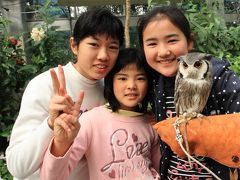 久しぶりに掛川花鳥園へ出かけてきました