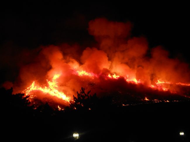 　２５日に同窓会が奈良であって、その帰りに若草山の山焼きを見学しました。同窓会ではきれいなおいしい料理を頂きました。