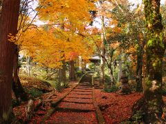 関西の紅葉の隠れ寺を訪ねる旅