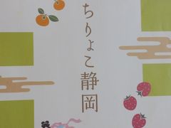 ぷち旅！　世界文化遺産・富士山・・・その③　≪興津～由比～蒲原～富士宮～街道の名所めぐり≫