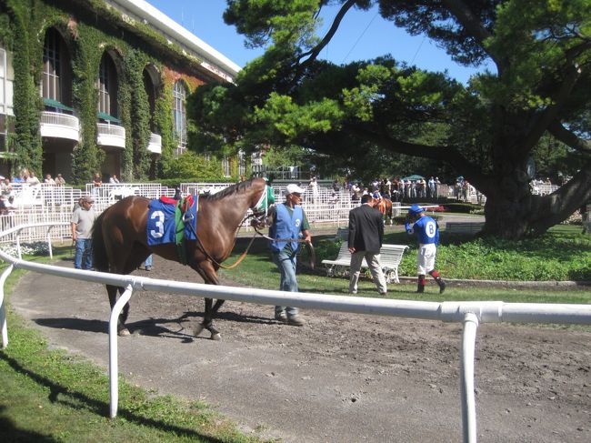 カナダ・アメリカと移動した最後の行先はやはり競馬場!ベルモント・パークで午後をのんびりと過ごします。重賞もない平日の開催なので、余計にのんびりできました。