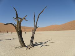 2013.GW　ナミビア旅行記２　　感動のナミブ砂漠