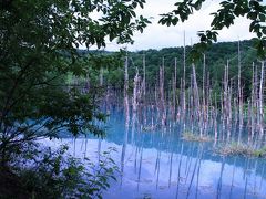 北海道（トマム・富良野・美瑛・小樽）をレンタカーで巡る旅