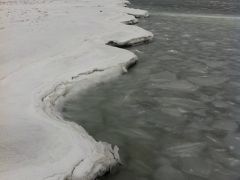 凍るニューヨークの海