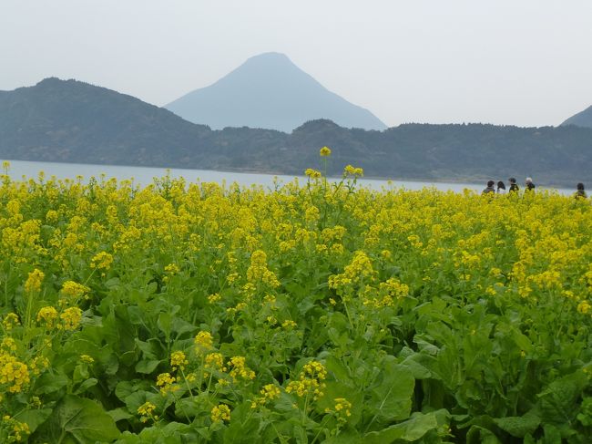 我が家で毎年恒例になっている、お正月温泉旅行。少しでも暖かい所に行きたくて、鹿児島県を選択。<br />天候に恵まれて、いい旅行ができました。<br /><br />利用したツアー<br />ＡＮＡスカイホリデー九州　ホテルチョイス２泊（フリープラン+オプションレンタカー）<br />ＡＮＡのマイレージを貯めているため、宿泊とセットになっているこのツアーを選択しました。<br />ＡＮＡのツアーは、料金によって宿泊できるホテルに違いがあるようで、今回は「お正月」ということでいつもより少しだけランクアップ（我が家基準）した所に泊まりました。<br /><br />＊１泊目＊<br />指宿に宿泊→ホテル　秀水園　http://4travel.jp/dm_hotel_tips_each-10967831.html<br /><br />＊２泊目＊<br />霧島に宿泊→霧島ホテル　　http://4travel.jp/dm_hotel_tips_each-10967888.html