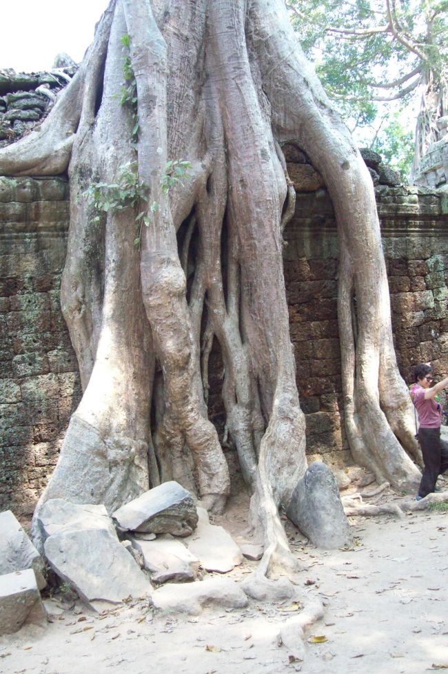 2014　ベトナム・カンボジア・タイ旅行記⑦　アンコールトム周辺の寺院、タ・プローム、プノンパケンの夕陽