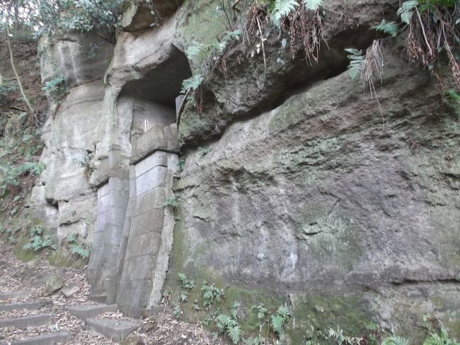 観光地鎌倉の北西、手広というところ。ここに鎌倉景観百選の切通があるという。ガイド情報媒体には掲載されていません(鎌倉７口切通とは別)。また、古くは探訪者のレポート(旅行記やプログ等・クチコミ登録なし)もあるのですが、直近では見あたりません。アクセス的にも観光・旅行者が訪れにくい場所ですので、鎌倉の超穴場的ところ(勝手な解釈)。<br /><br />実は2013年秋に付近訪れたのですが情報不足と天候状態で中断した経緯があります。<br /><br />今回、鎖大師(青蓮寺)前からスタート。<br />地図表示・ガイドにも載らない、誰も書かない神社(勧廣稲荷大明神)から・・。<br />造成開発工事真っ最中の谷戸坂切通へ・・。<br />向こう側の切通入口を見てみたいということで、付近うろちょろ。農道山道らしきところ迷い込む(地図無視)。<br />おぉ！そこには鎌倉原風景が・・鎌倉の里山の風情・・。<br />ココ古道江ノ島道？鎌倉道？・何坂峠？。［調べたら、女坂でした］<br />野道の分枝点、ここから坂道・森の中下る。小さい切通を抜け鎌倉新住人と地元旧家が立ち並ぶ住宅街へ、先ほどの谷戸坂の切通の見える反対側方面目指したが立ち入り禁止、工事中で規制受ける。<br />ここでオシマイ。<br /><br />表題:古道(女坂)の崖写真