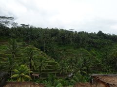 初めての年越し旅行はインドネシアで！～その２～