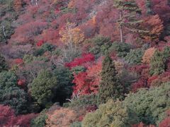 紅葉の絶景、小豆島「寒霞渓」を撮りに行く