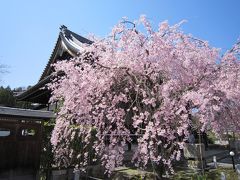 圓通寺・妙満寺界隈