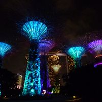 年末年始シンガポール5泊7日☆夜は無料のショーと夜景を満喫した旅～後編～