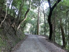 春日山原始林①