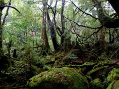 もののけ姫の世界に感動♪白谷雲水峡