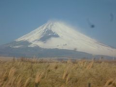 鎌倉と鴨川シーワールド　　南房総白浜温泉「旬のお造り食べ放題」