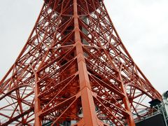 50年ぶり　東京タワー　階段昇り